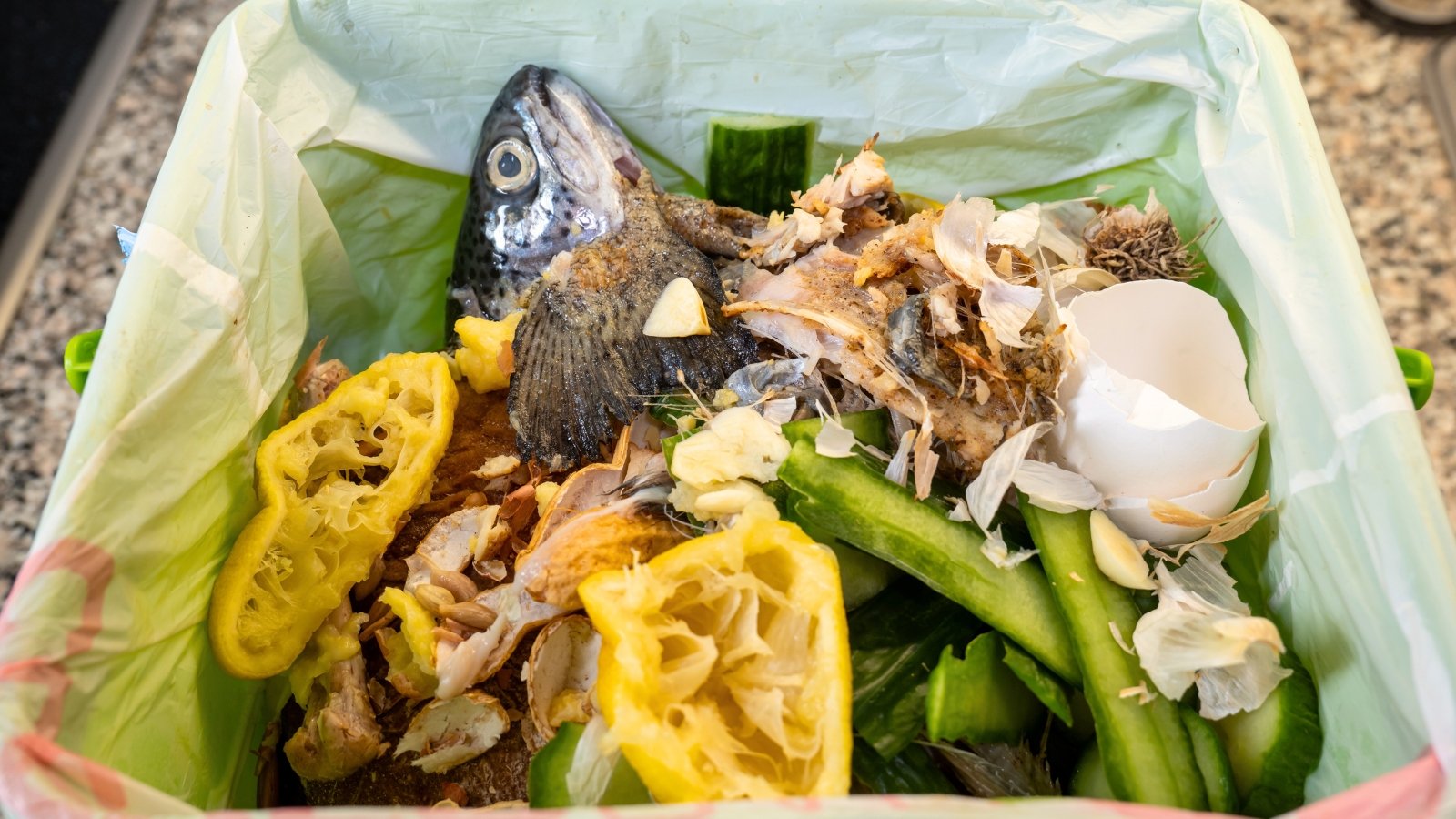 Close-up of vegetable peels and fish scraps mixed together in a compost bin.