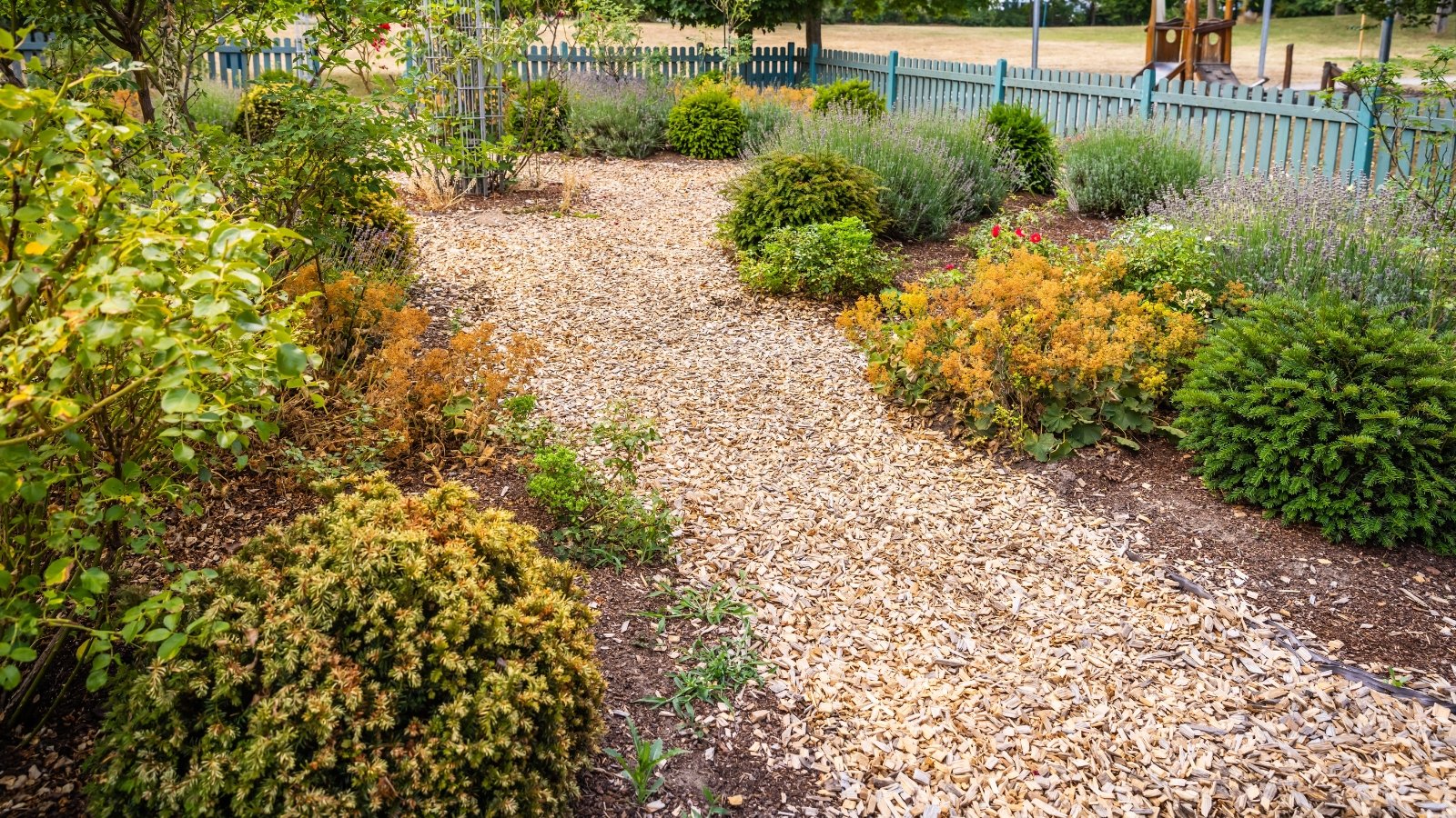 A landscaped garden path mulched with wood chips is flanked by a variety of lush perennial plants on both sides.