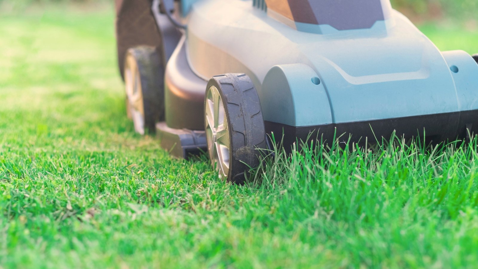 Close-up of a blue lawn mower cutting the lawn, showing a clear contrast between trimmed and untrimmed green grass.