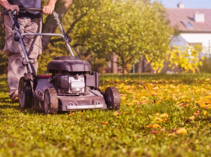 Male gardener caring for a lawn while pushing a lawnmower over green grass lightly covered with orange and yellow autumn leaves in an October garden.
