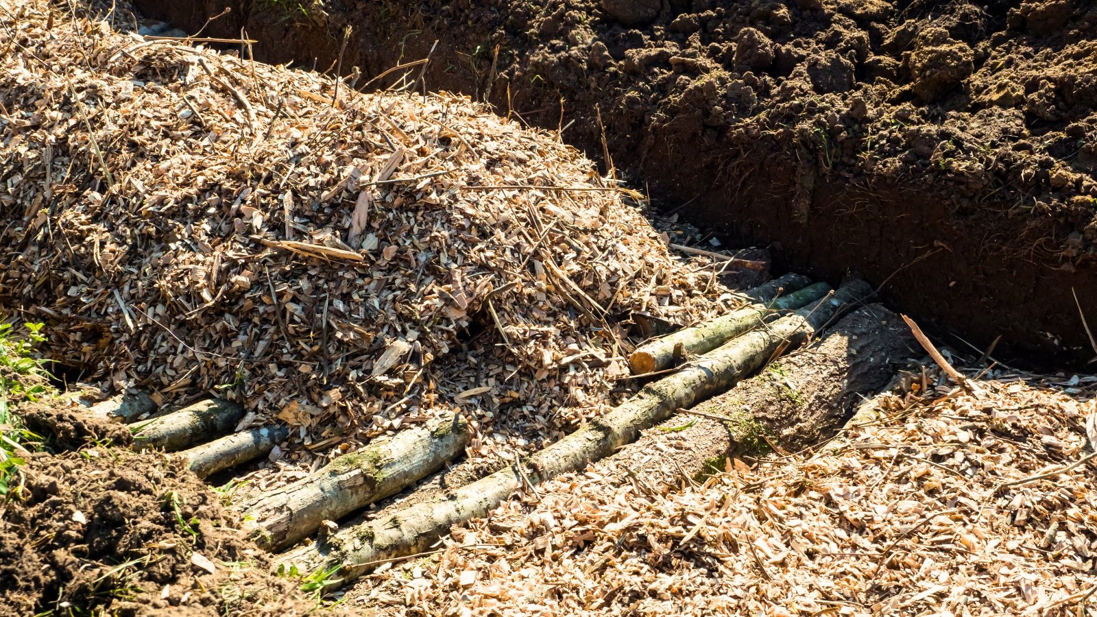 Permaculture trench layered with wood logs and topped with shredded wood, ready for planting.