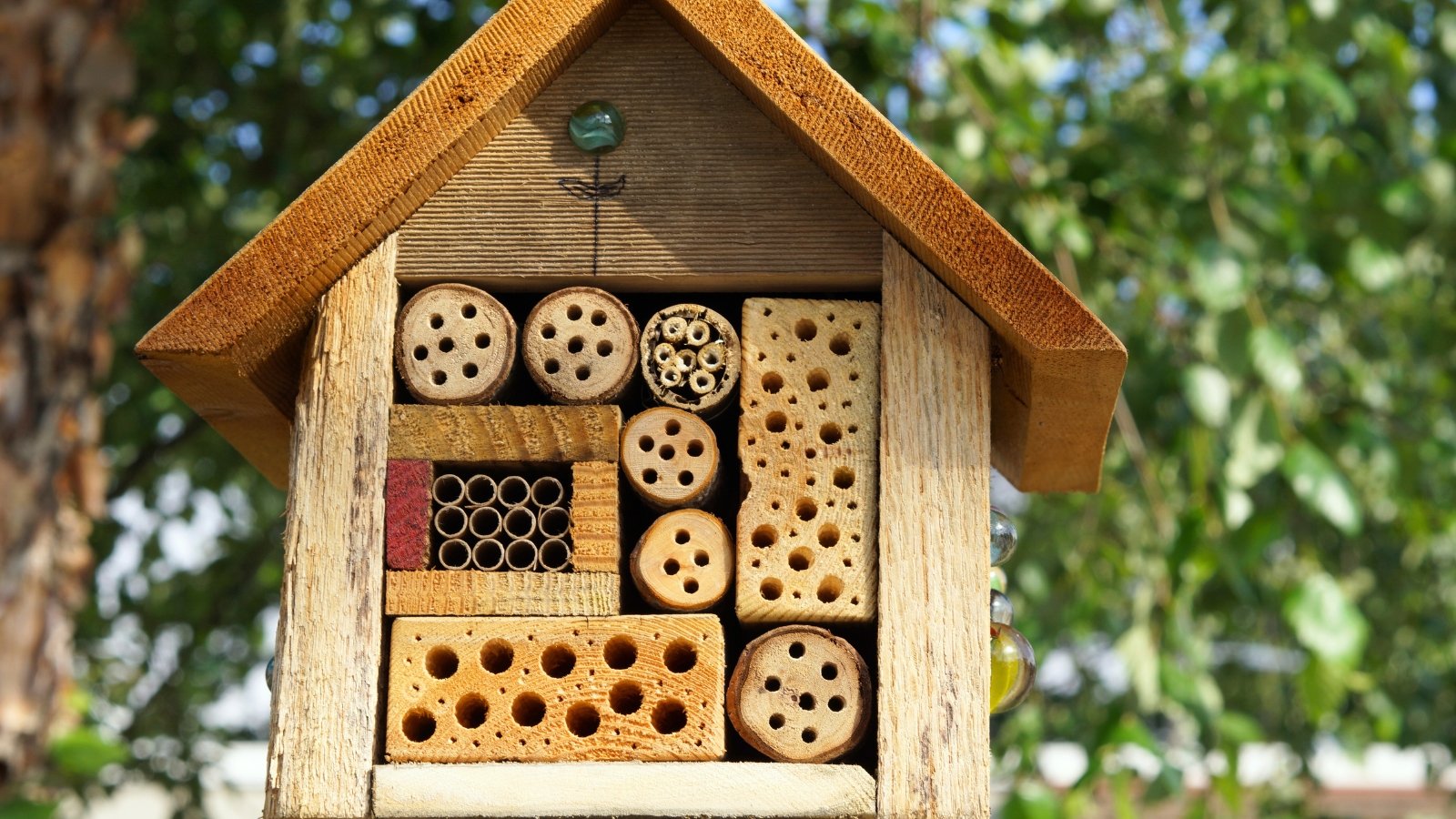 Handmade wooden pollinator hotel hanging from a tree, featuring various drilled sections and bundled stems for nesting.