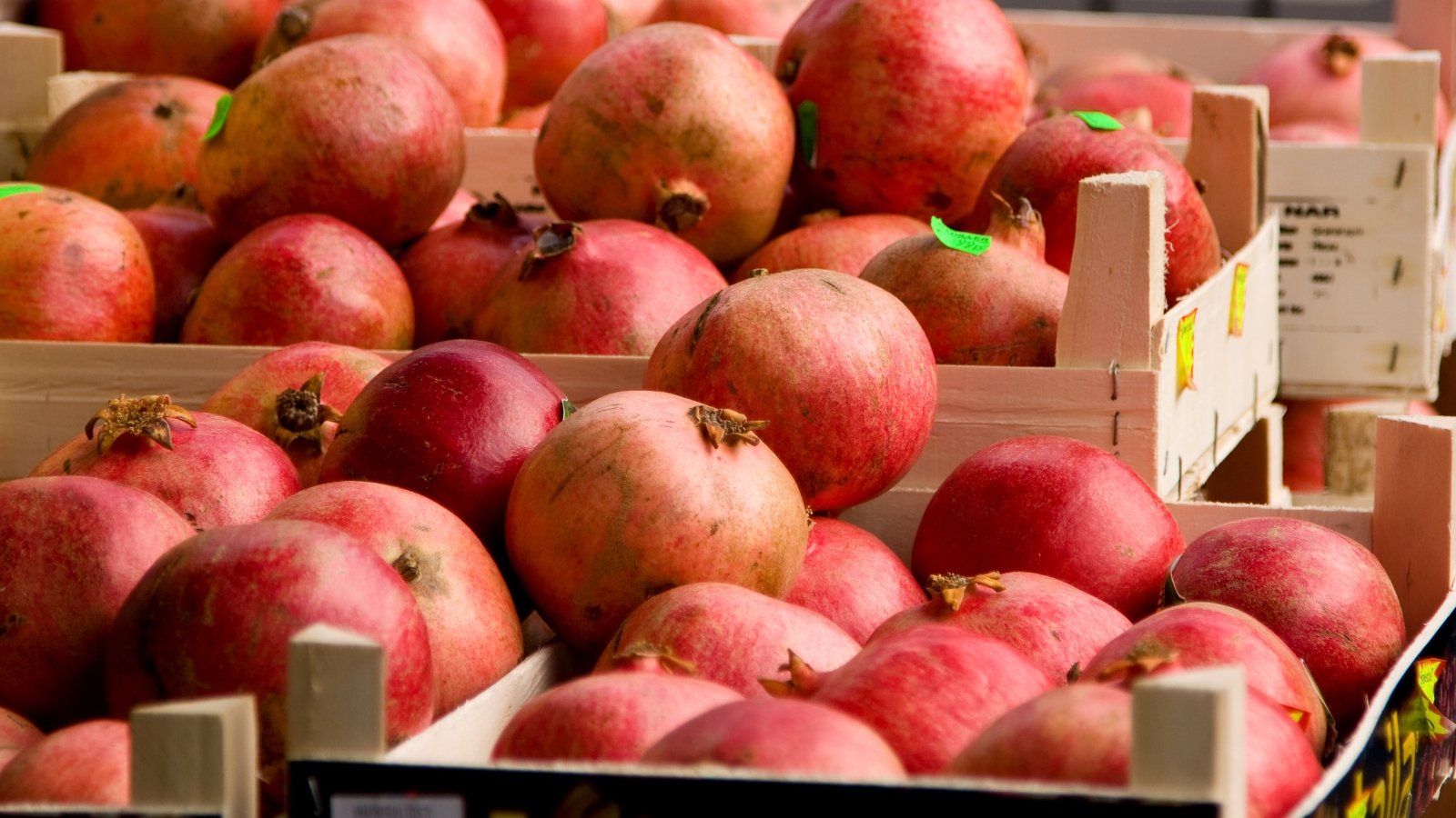 Ripe pomegranates with smooth, deep pink to red skin fill wooden crates.