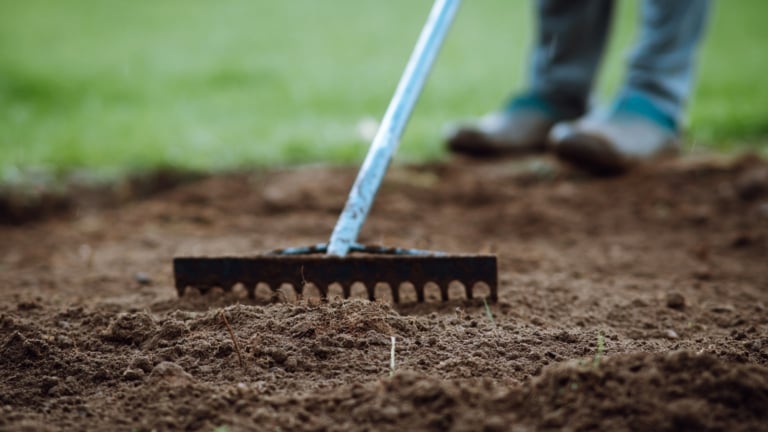 The Best Soil Mix for Your New Lawn