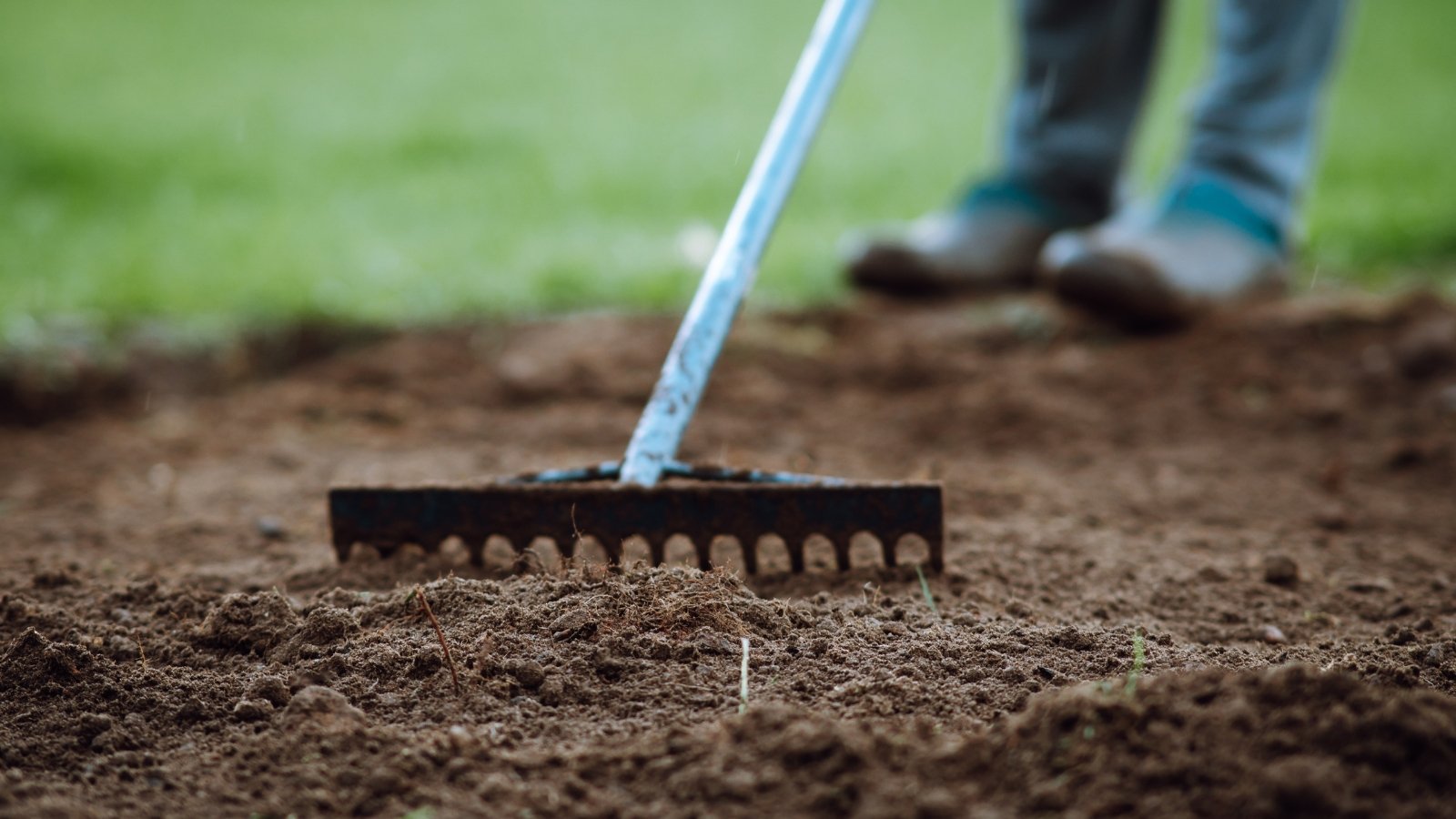 A man with a rake levels the black, loose soil in a garden bed before planting.