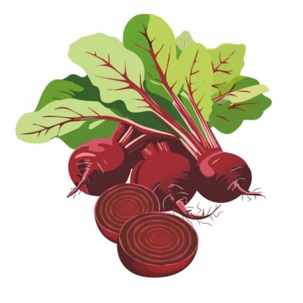 Ruby Queen Beet Seeds