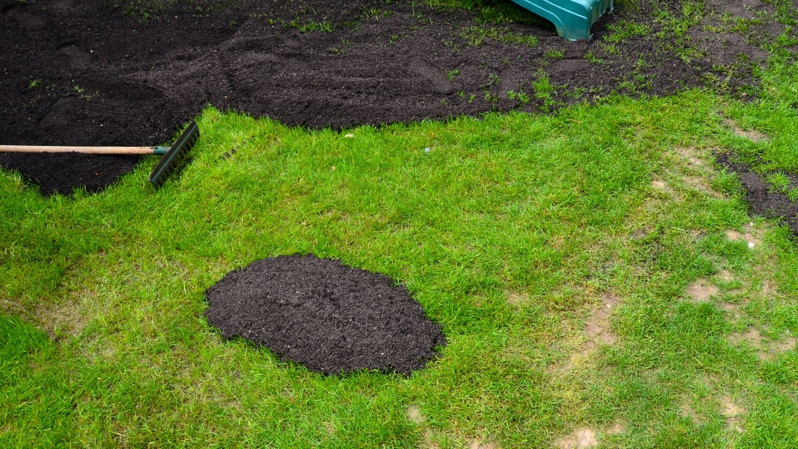Spreading black, loose compost over a green lawn using a garden rake.