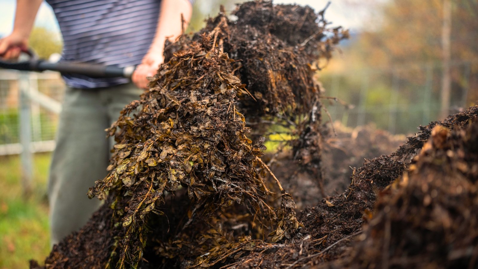 Gardener using a large spatula to turn a steaming thermophilic compost pile rich with decomposing leaves, vegetable scraps, and garden debris.