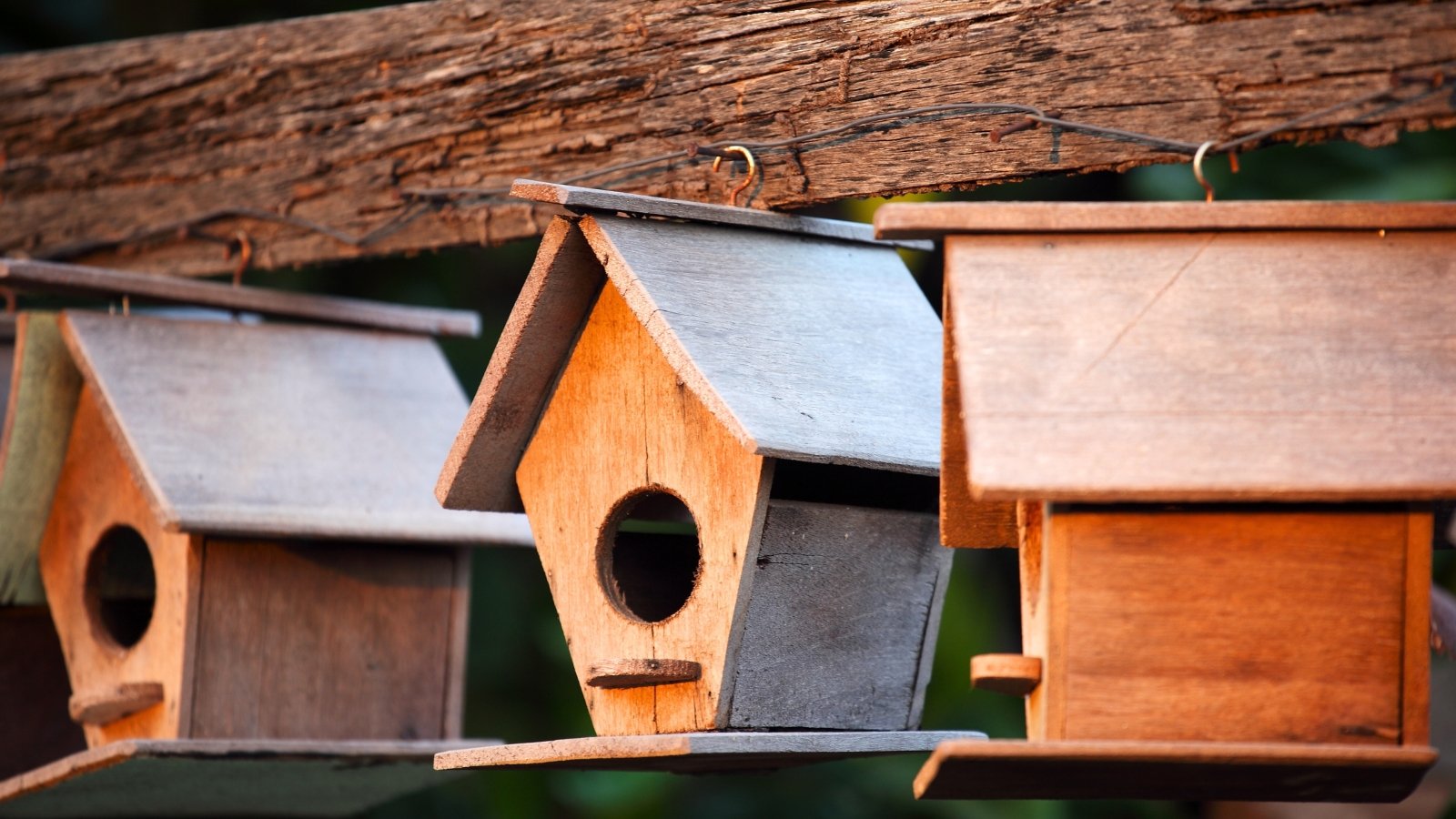 Three wooden birdhouses with pitched roofs hanging from a rustic wooden beam.