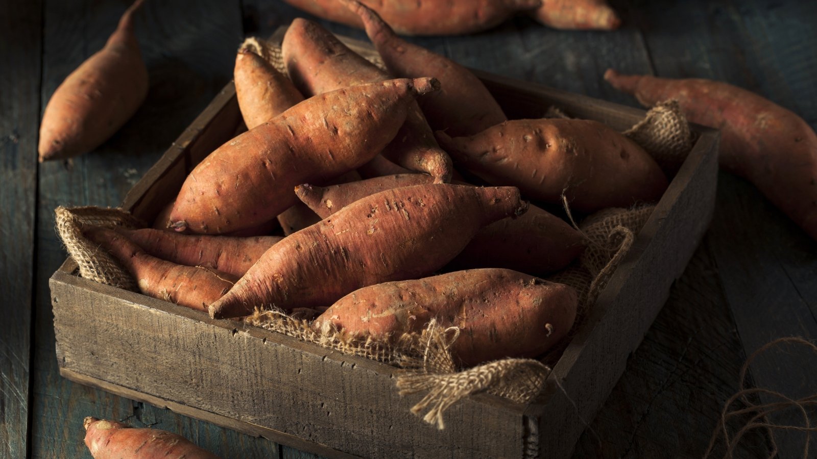 Sweet potatoes with smooth, oval to slightly oblong pink skin are stored in a wooden box in a dark area for long-term preservation.