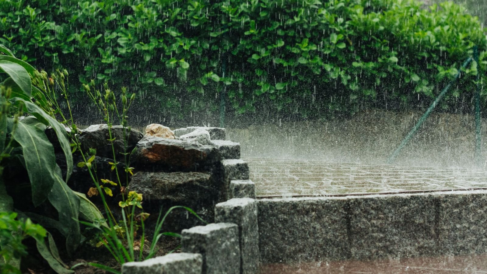 An area receiving heave rain pouring on a stone area with plants and a raised platform with bushes in the background