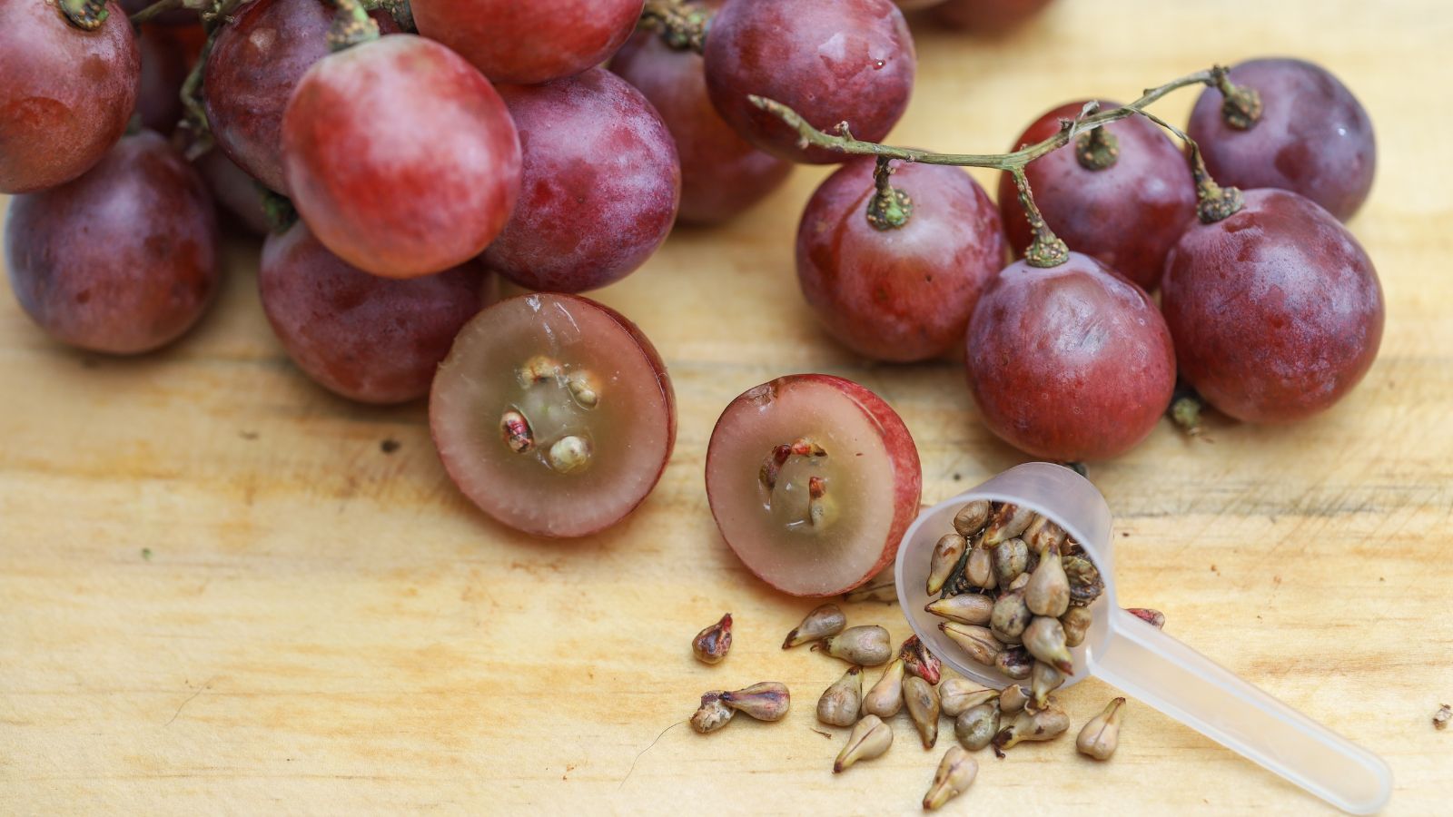 A pile of round and deep purple berries placed on a wooden surface with seeds scattered all over the area