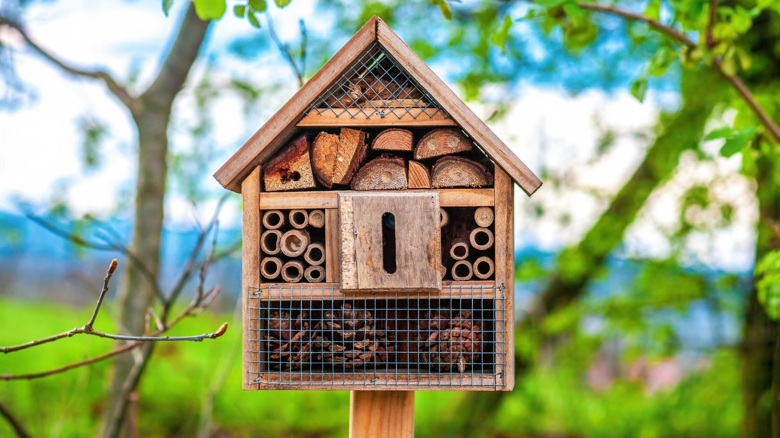 A wooden insect house with multiple compartments stands among lush green summer foliage, providing shelter for garden insects.