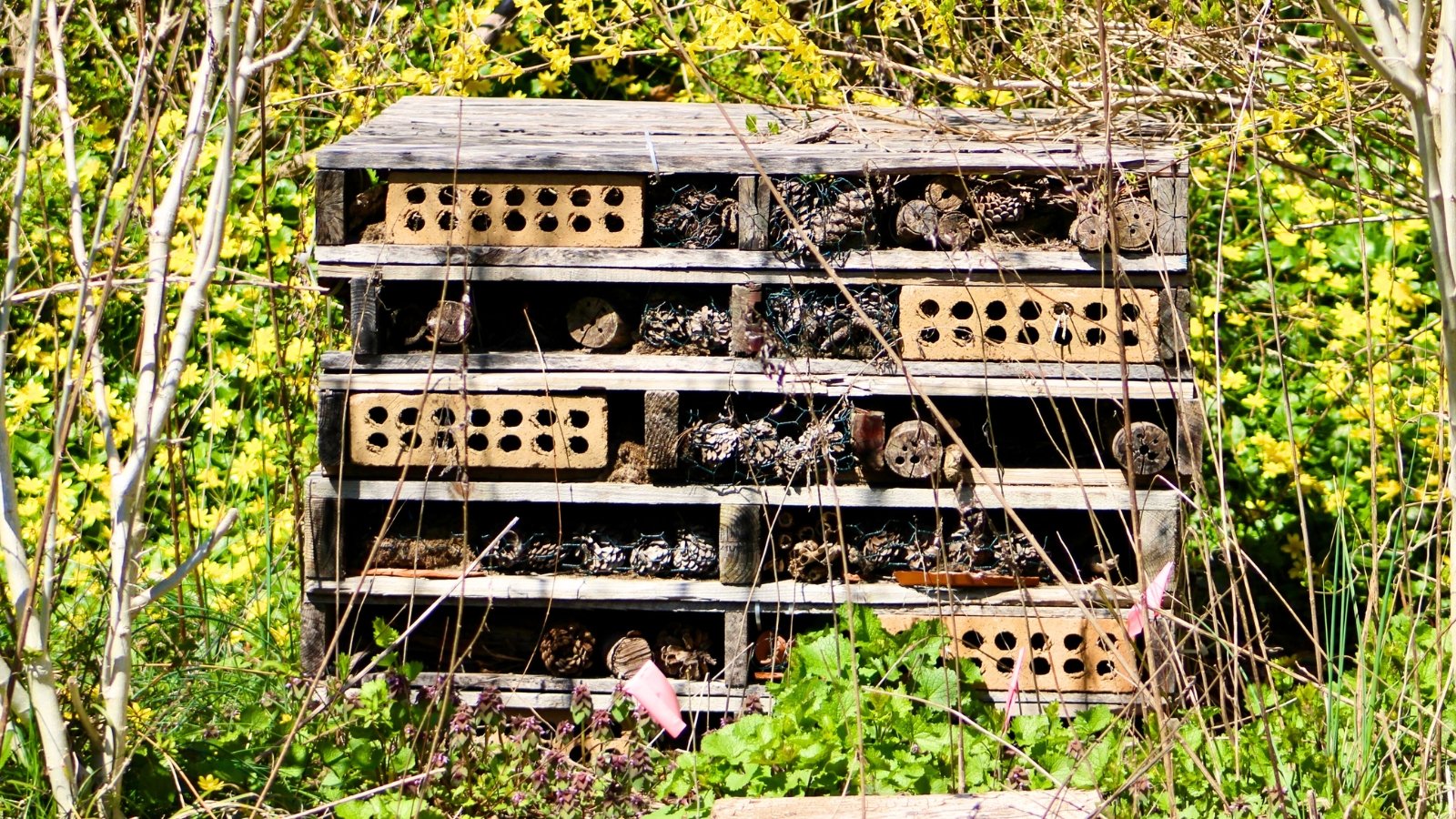 A wooden bug house with multiple small compartments and openings stands upright, designed to provide shelter for various garden insects.