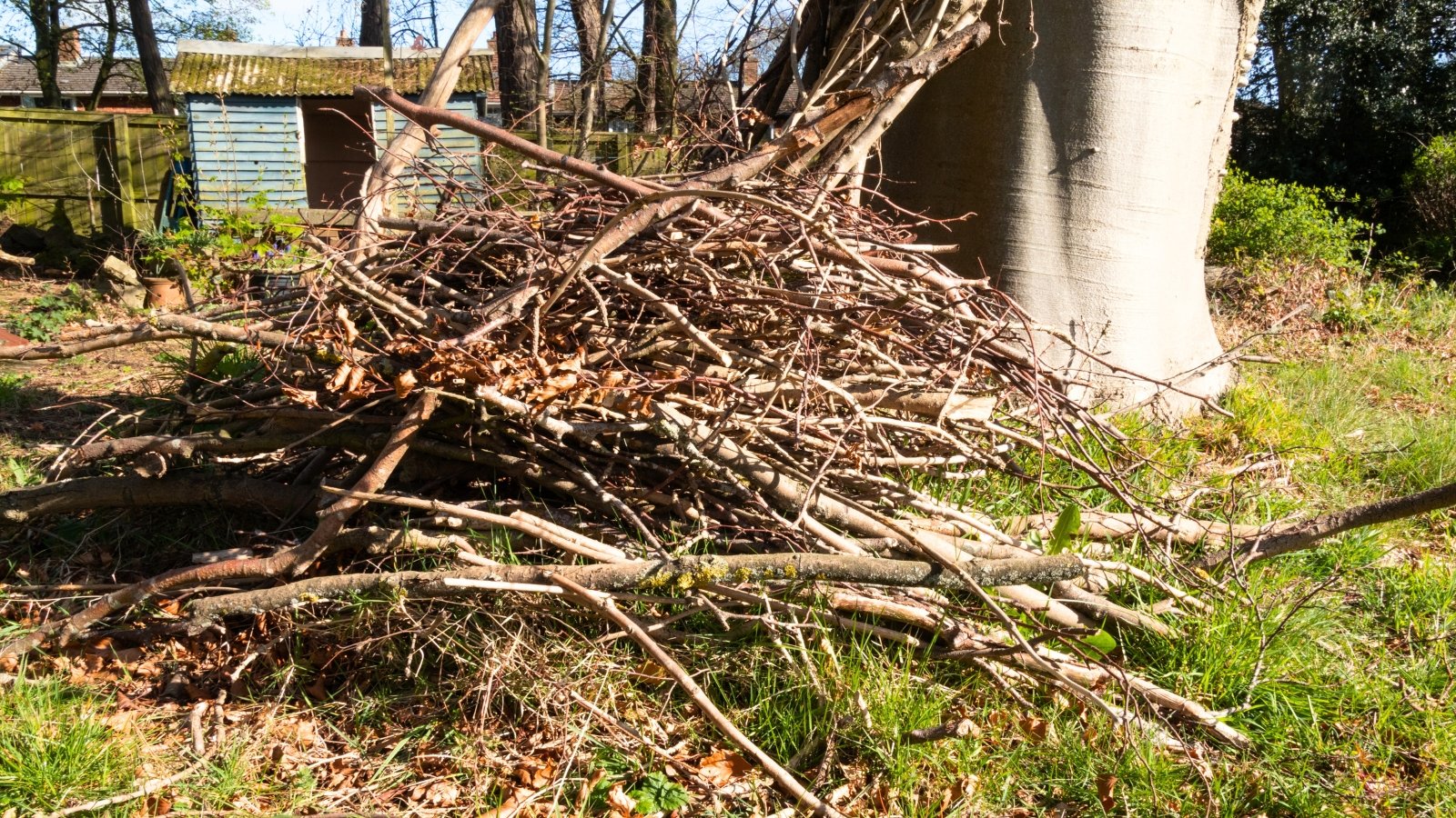 A bug nest made of intertwined twigs rests on the ground amid garden greenery, blending naturally with its surroundings.