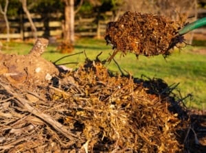Gardener holding a spatula, building a raised Hugelkultur garden bed with layered soil and organic material.