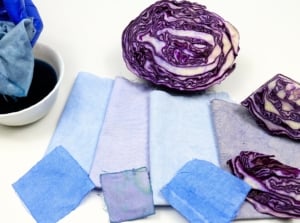A hand holds cotton fabric dyed in blue water over a white bowl with red cabbage slices and decoction, showing a DIY fall plant-based dye process. Several pieces of fabric dyed in different shades of blue and purple lie nearby.