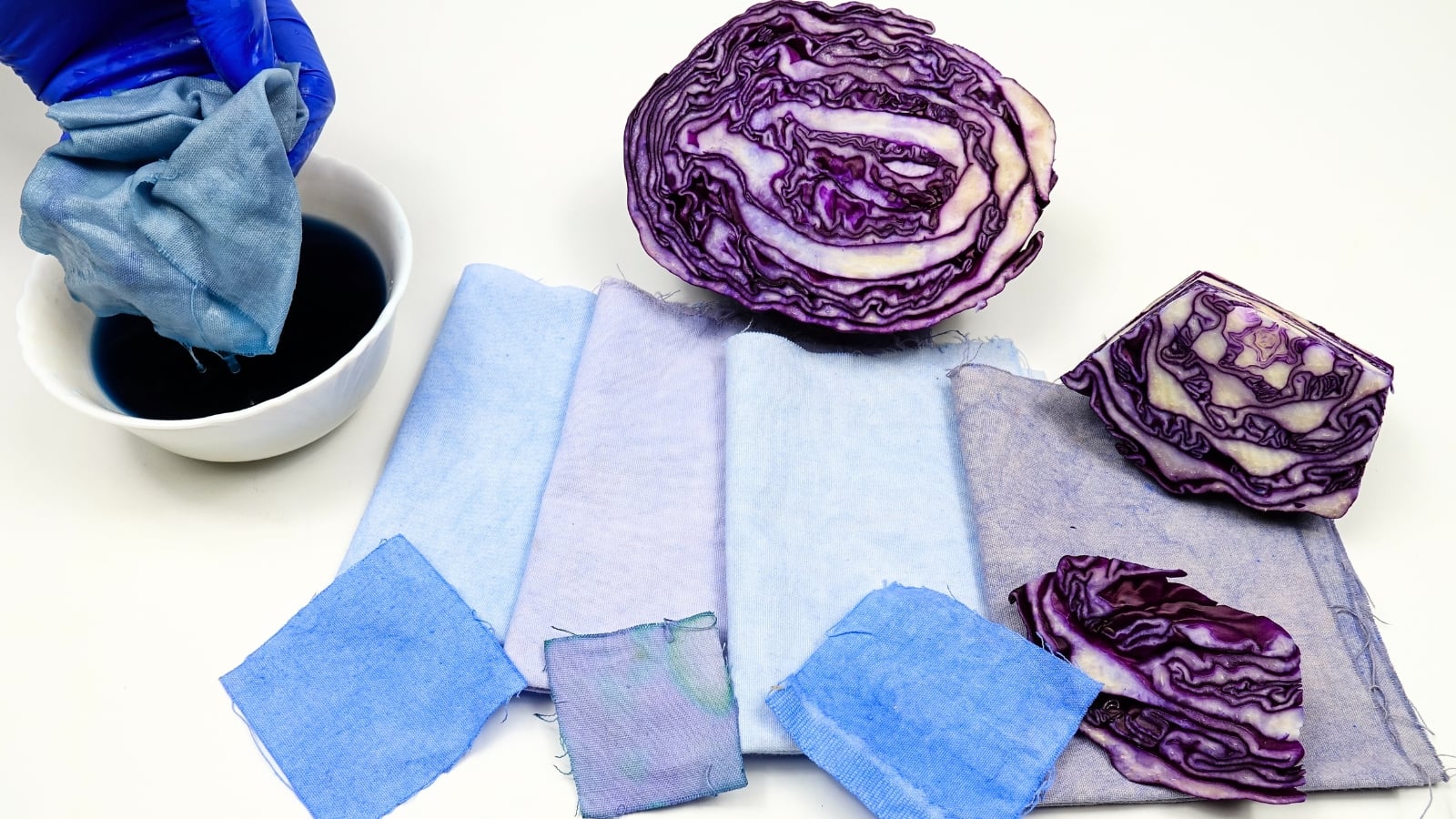 A hand holds cotton fabric dyed in blue water over a white bowl with red cabbage slices and decoction, showing a DIY fall plant-based dye process. Several pieces of fabric dyed in different shades of blue and purple lie nearby.