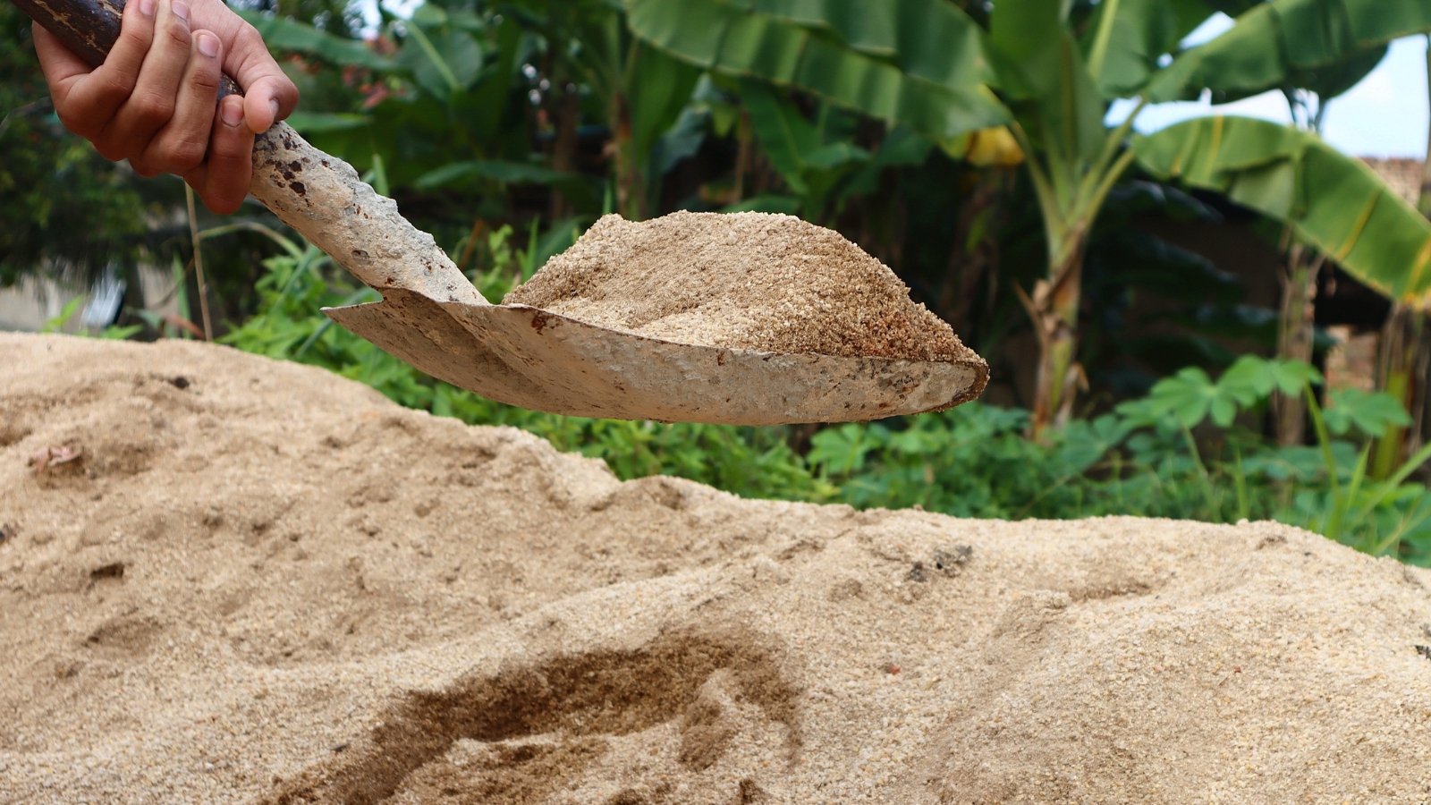 The gardener uses a large garden shovel to move sand from the pile to the garden bed.