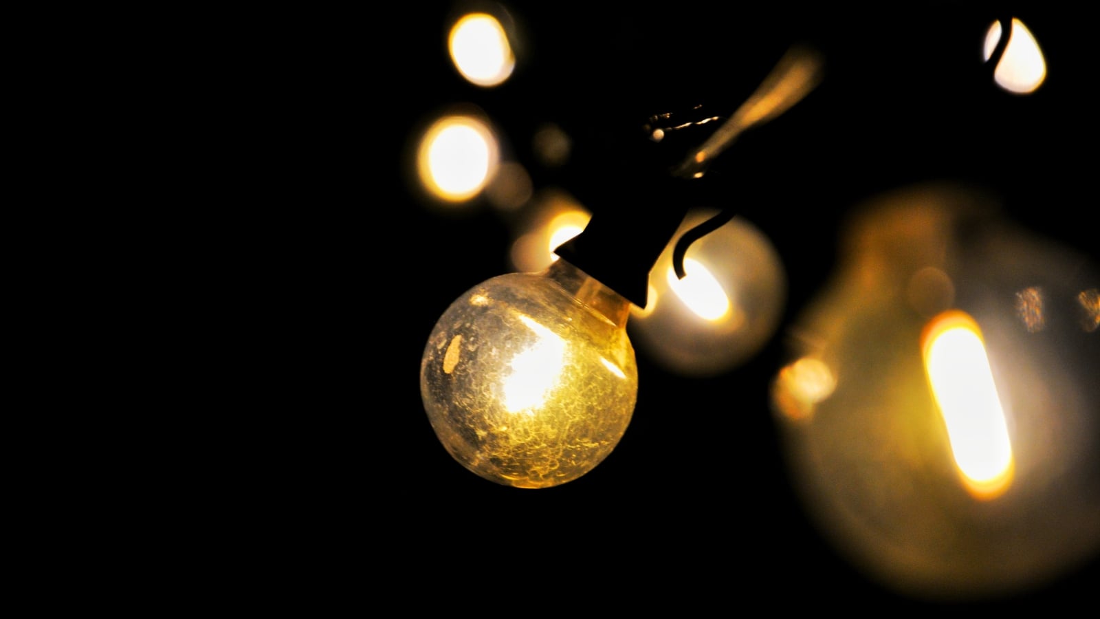 Warm, glowing bulbs cast soft, golden light across the garden in the dark.