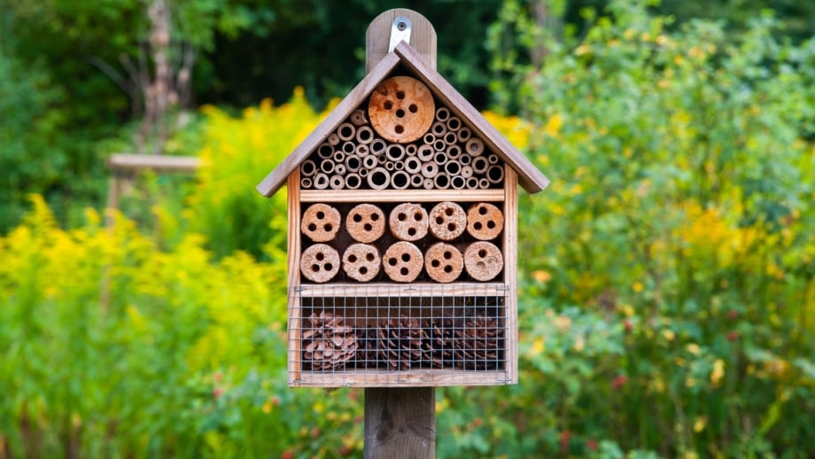 Garden pollinator hotel with compartments filled with hollow stems, drilled wood, and natural materials for insects.