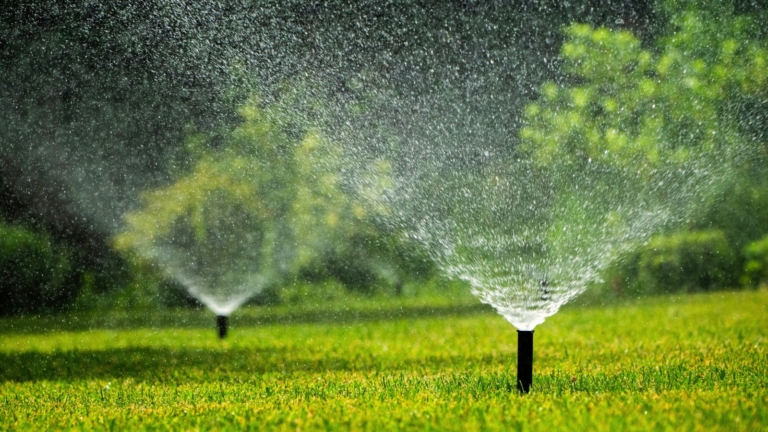 View of The Best Soil Mix for Your New Lawn