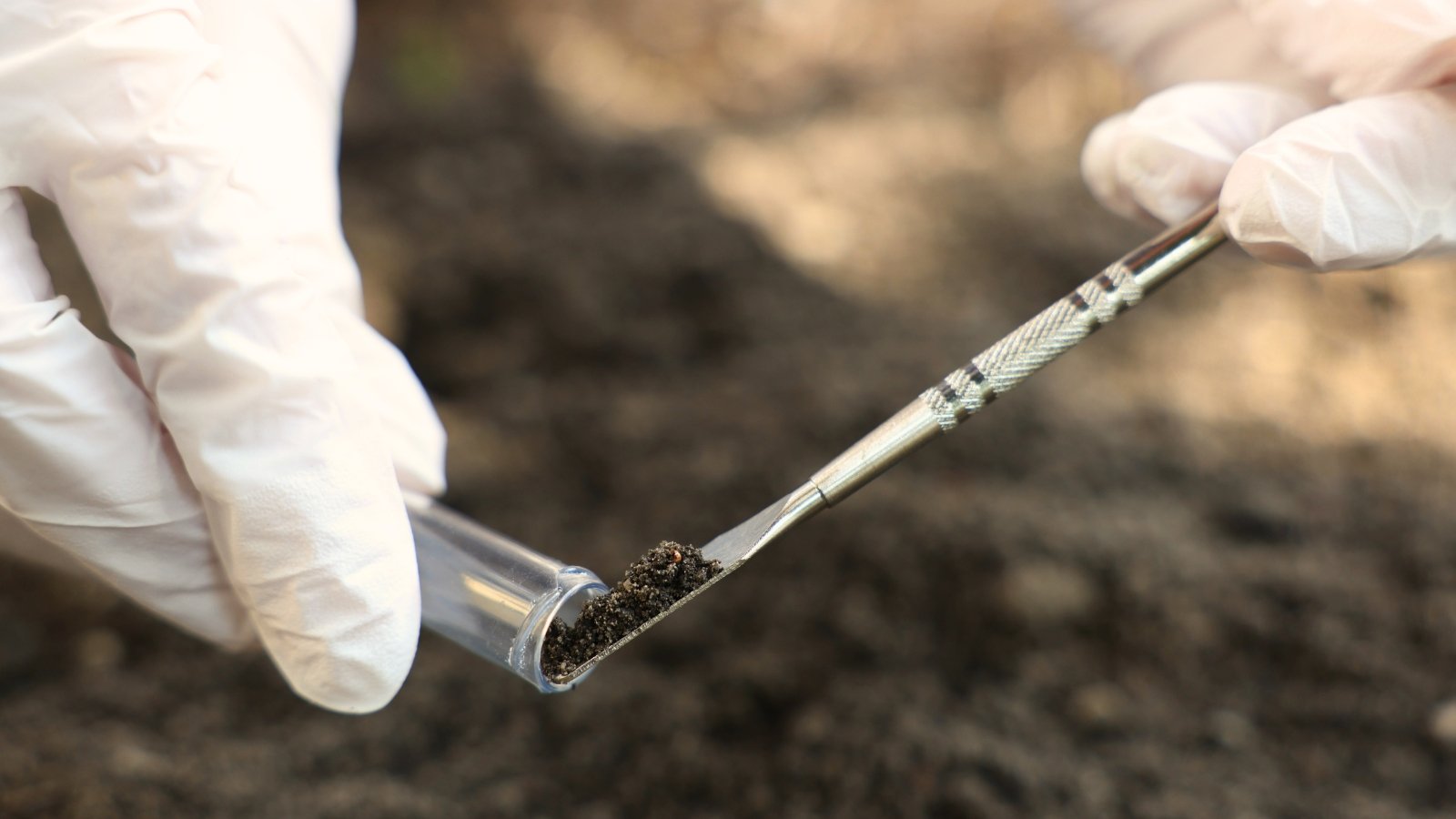 A gardener wearing white gloves takes a soil sample into a glass flask for analysis.