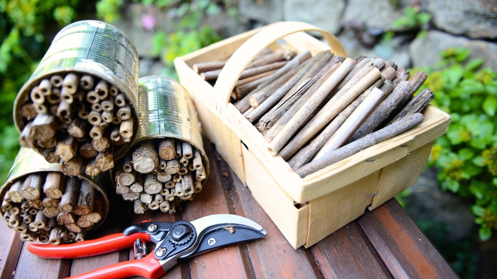 Wooden table with red pruning shears, hollow tubes, and wooden sections arranged for building an insect shelter.
