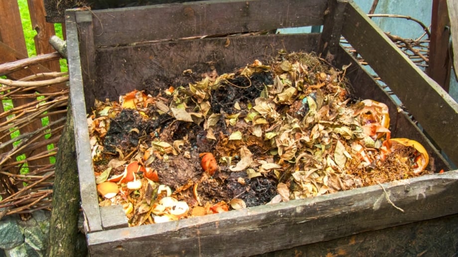 How to Build a DIY Compost Bin
