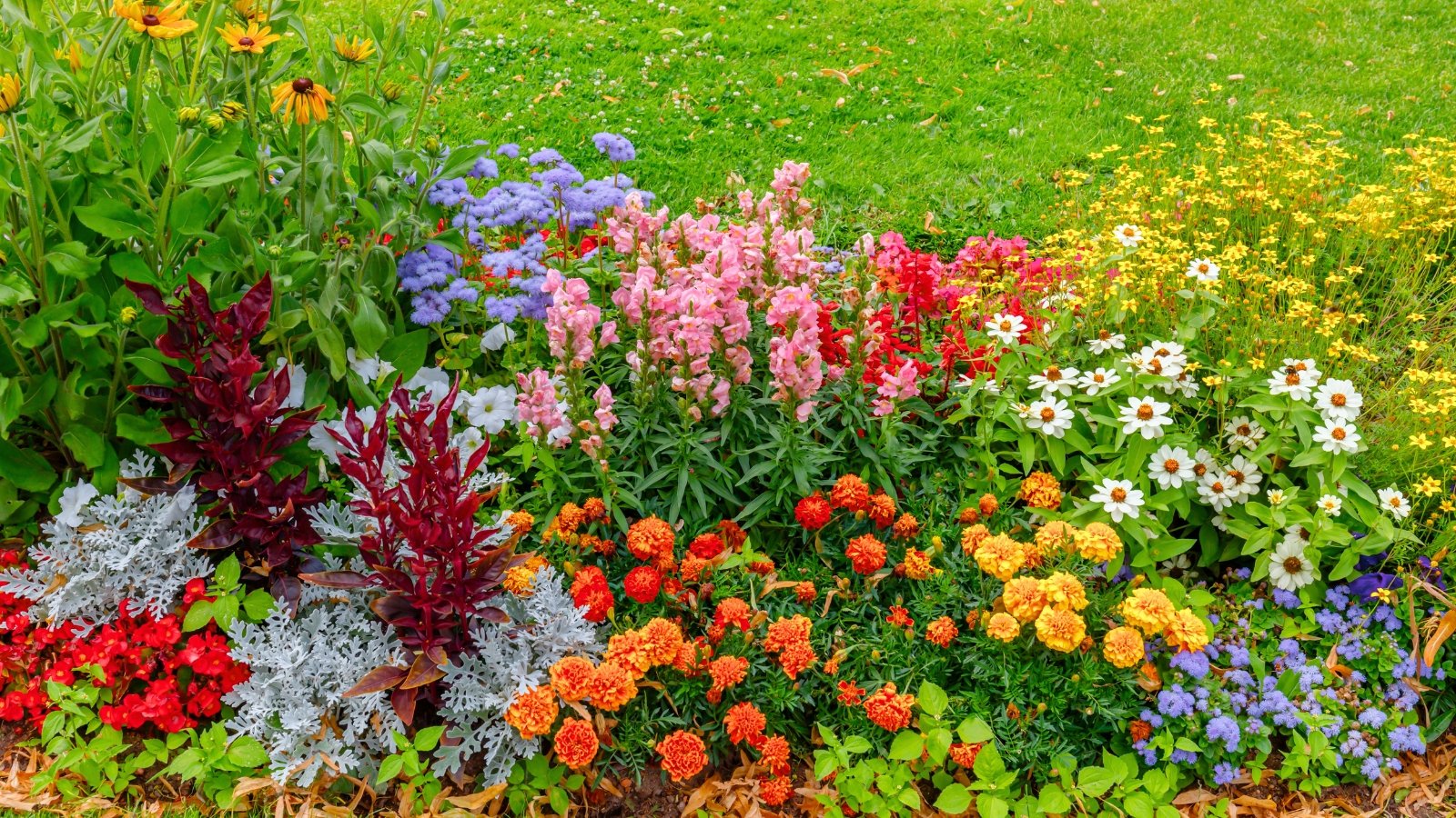 A dense, colorful bed showcases low-growing marigold-like blooms in shades of orange and yellow, contrasted with tall pink and red flower spikes and delicate white daisies.