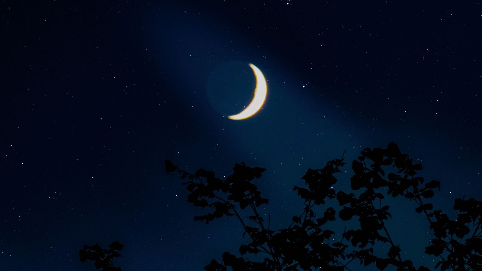A close-up and base-angle shot of a large waxing, crescent natural satellite, with developing plants underneath