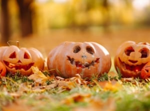A close-up shot of a small composition of carved crops depicting various faces, all placed outdoors, showcasing pumpkin carving varieties