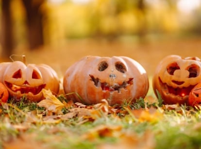 A close-up shot of a small composition of carved crops depicting various faces, all placed outdoors, showcasing pumpkin carving varieties