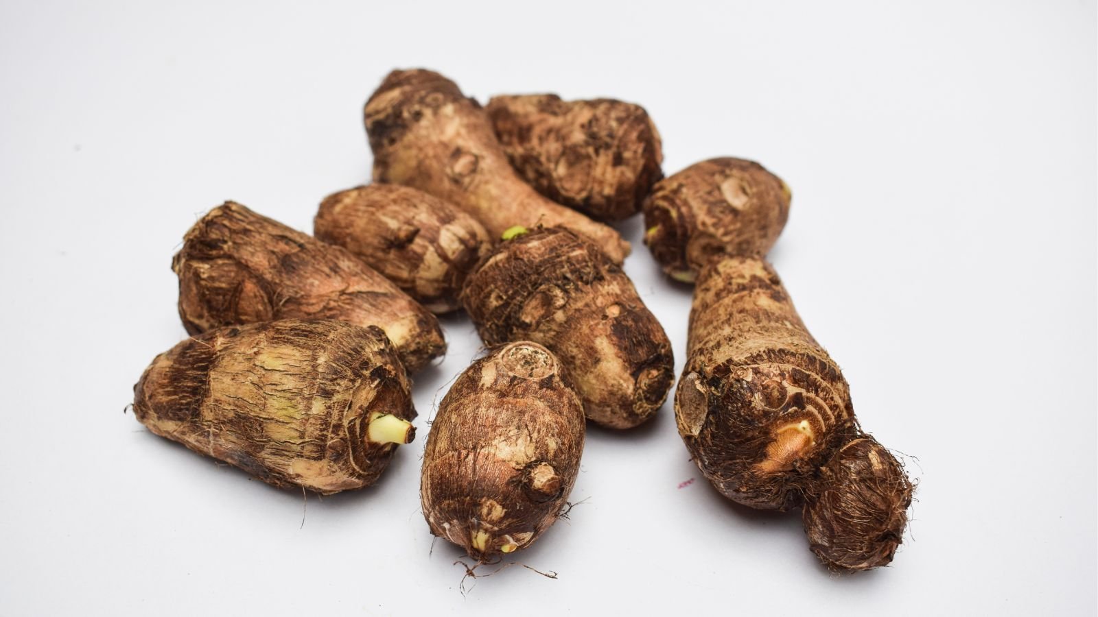 A close-up shot of freshly dugout corms of the elephant ear plant, all placed on a white surface