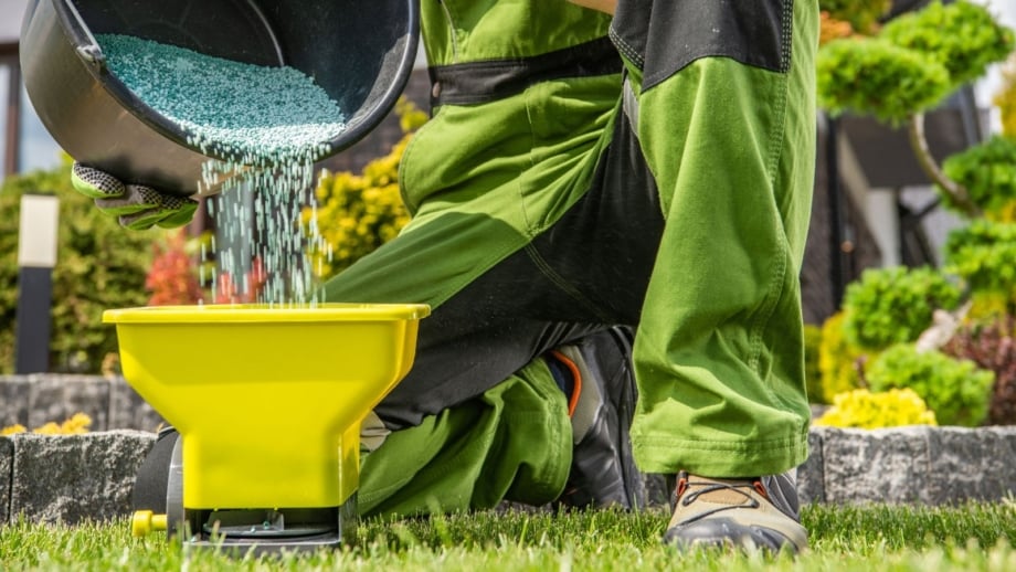 A man preparing to do fall lawn fertilizing, pouring the substance into a spreader to feed the lawn properly