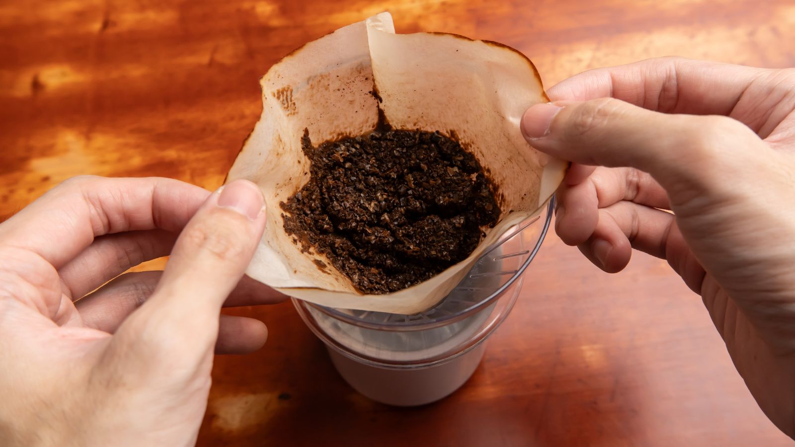 A person using fingertips to hold spent coffee filter with wet grounds inside, appearing wet and dark in a container on a wooden table