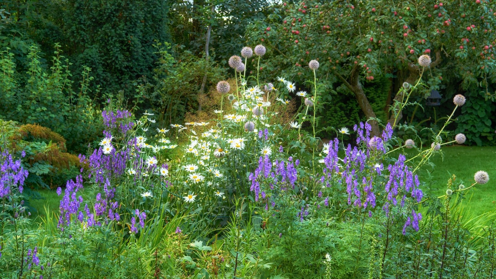Tall spikes of deep violet-blue flowers rise behind clusters of white-petaled blooms with yellow centers and round purple flower heads, all surrounded by lush green foliage in a vibrant summer garden.
