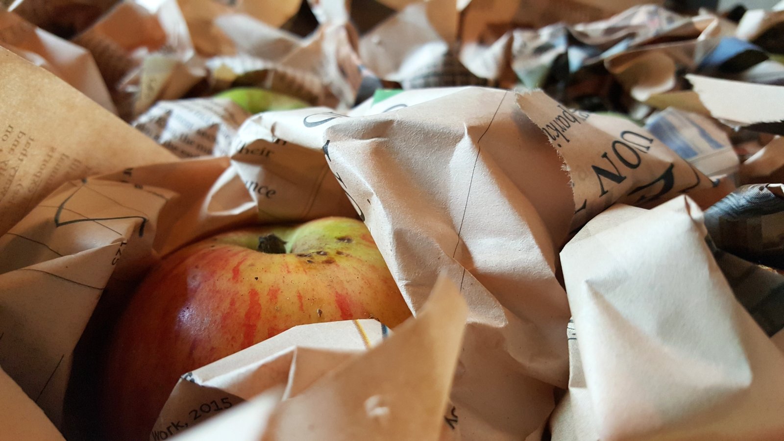 A close-up of a row of ripe green-red apples, each wrapped in newspaper for storage.