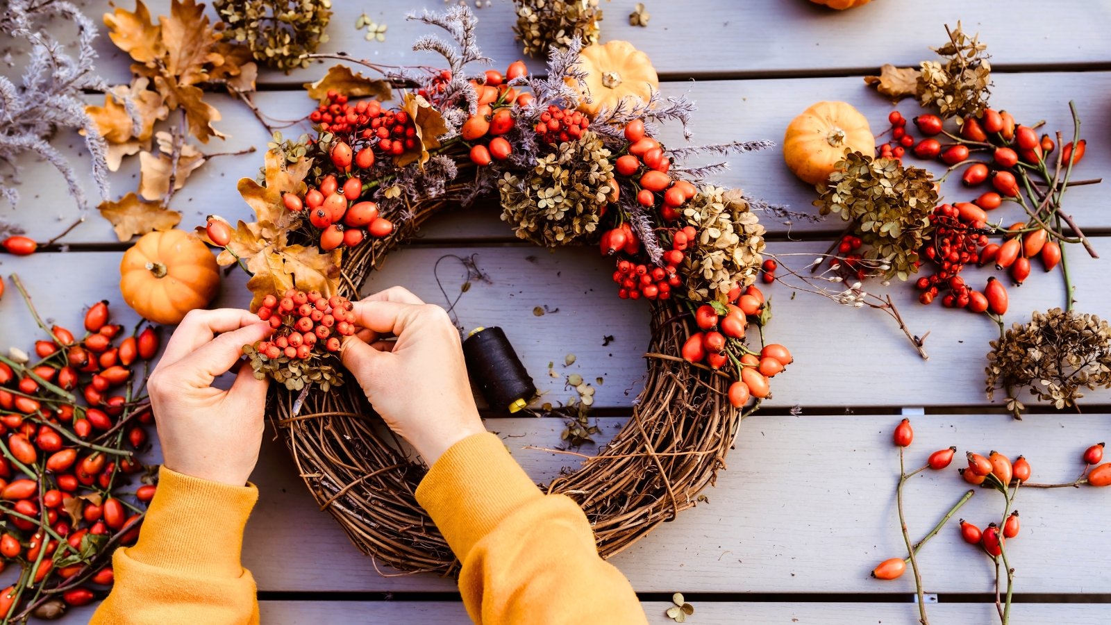 A handmade grapevine wreath is being decorated with rose hips, dried oak leaves, small decorative pumpkins, and dried hydrangea clusters.