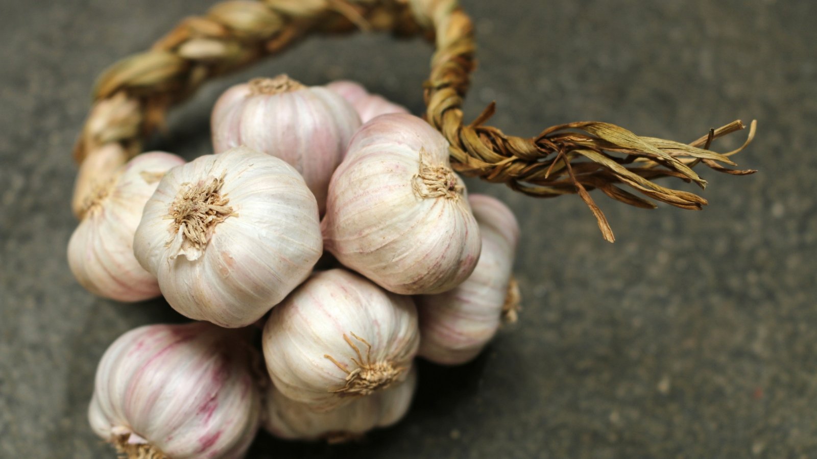 Several garlic bulbs are tightly braided together, their papery skins interwoven to form a decorative, elongated cluster.