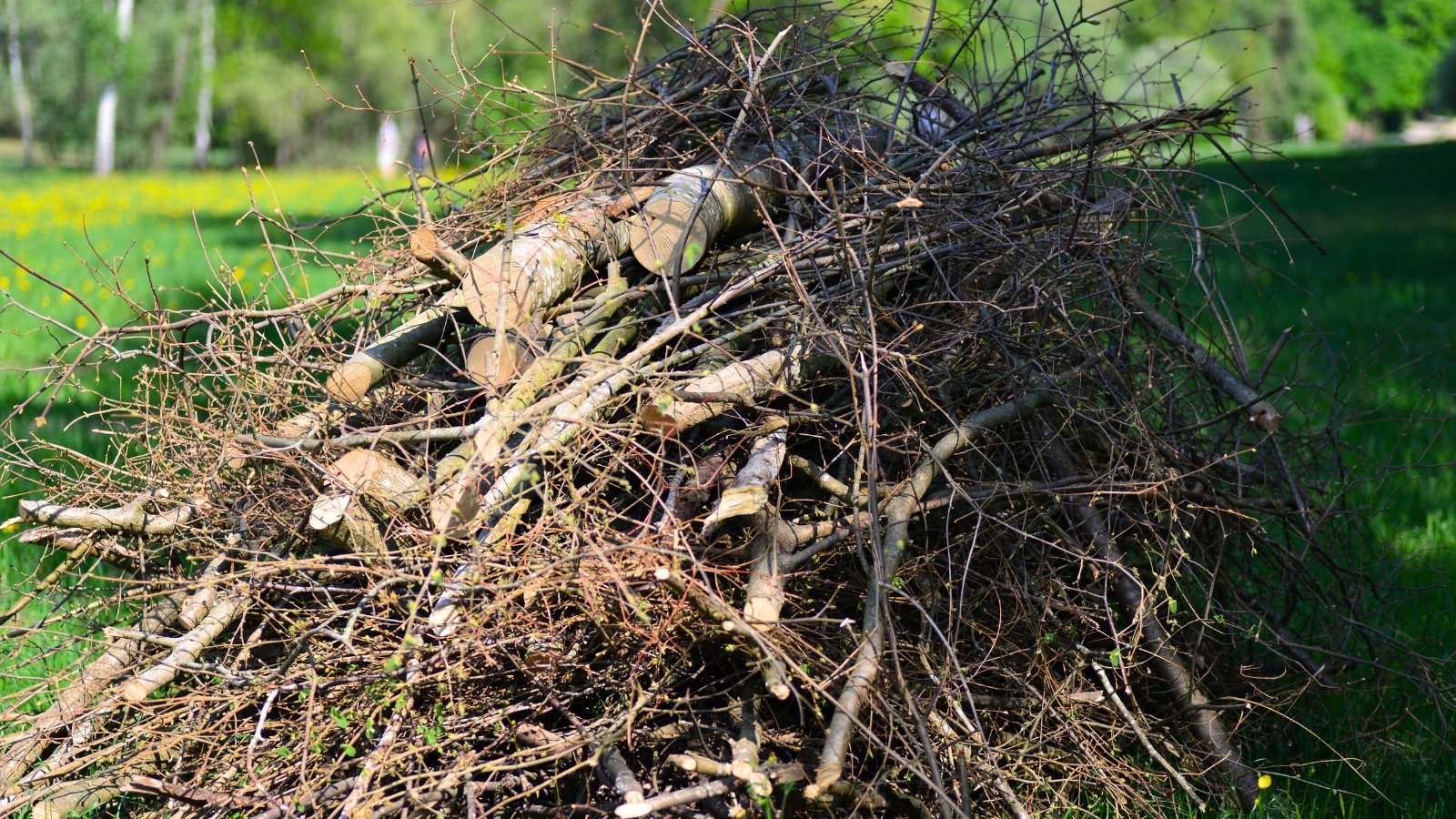 A garden brush pile combined with logs creates a dense, layered arrangement of branches and wood.