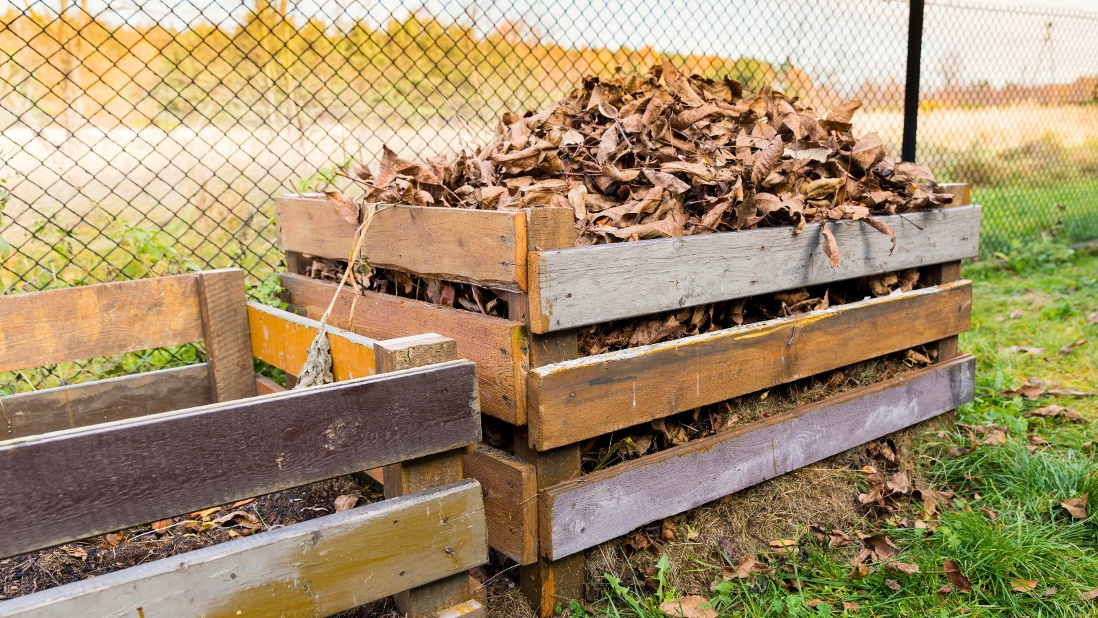 A wooden compost box is filled to the top with dry, crinkled fallen leaves in shades of brown and gold.