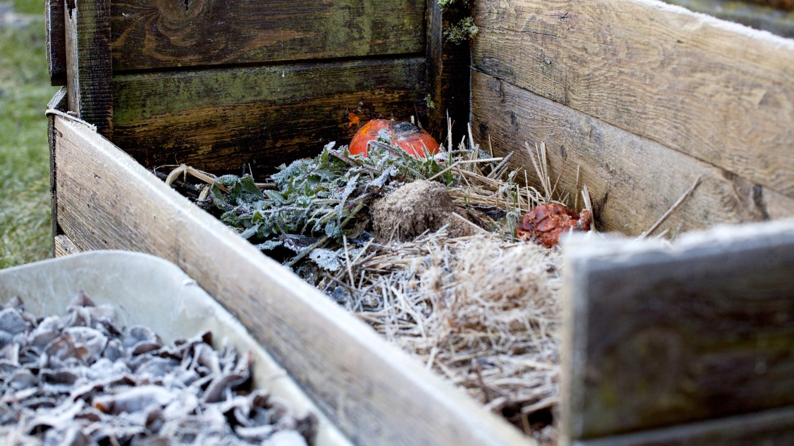 Compost in a wooden box is lightly covered with frost, positioned beside a cart heaped with frozen autumn leaves, all glistening in the cold morning light.