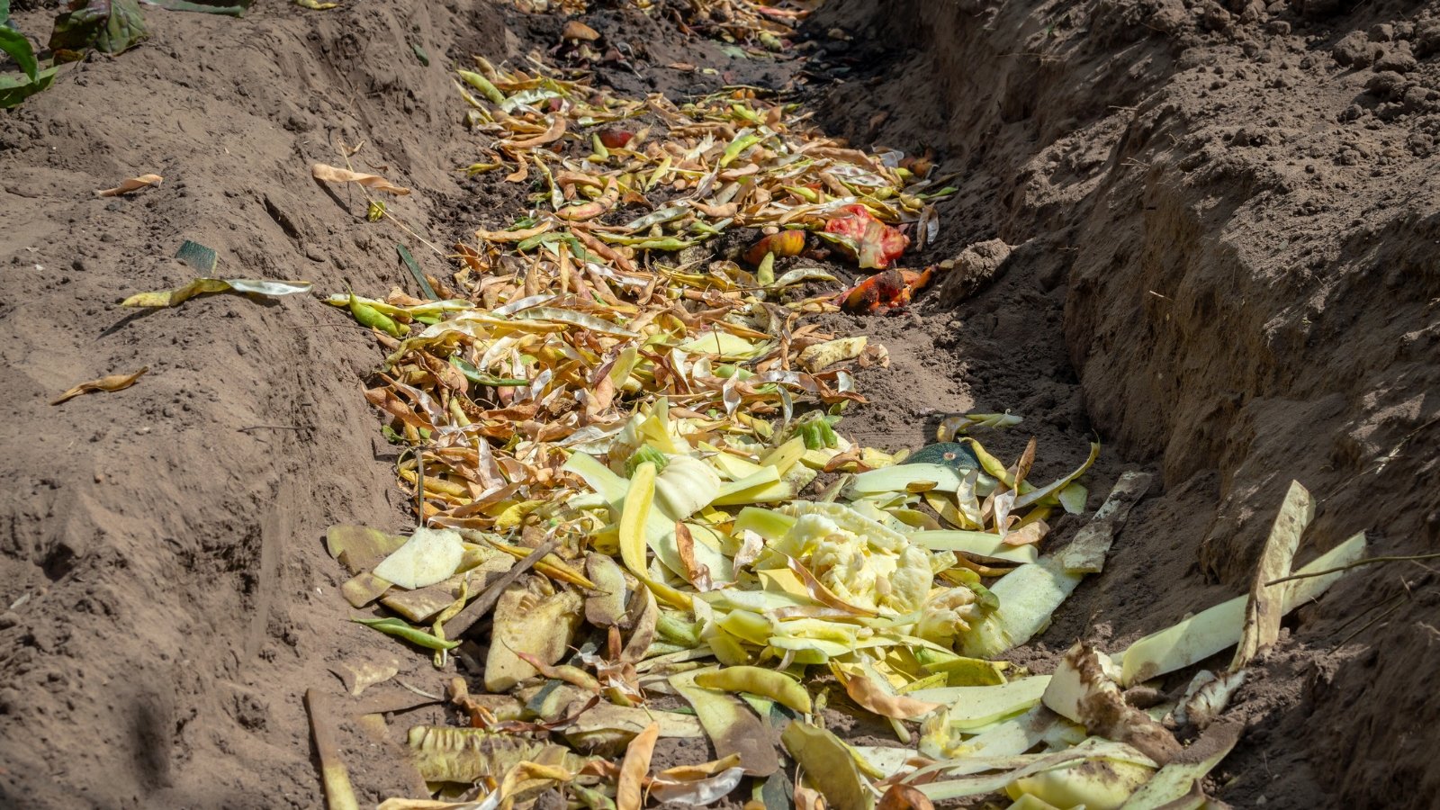 A compost trench in the garden bed is filled with colorful kitchen scraps, including fruit and vegetable peels, ready to decompose into the soil.
