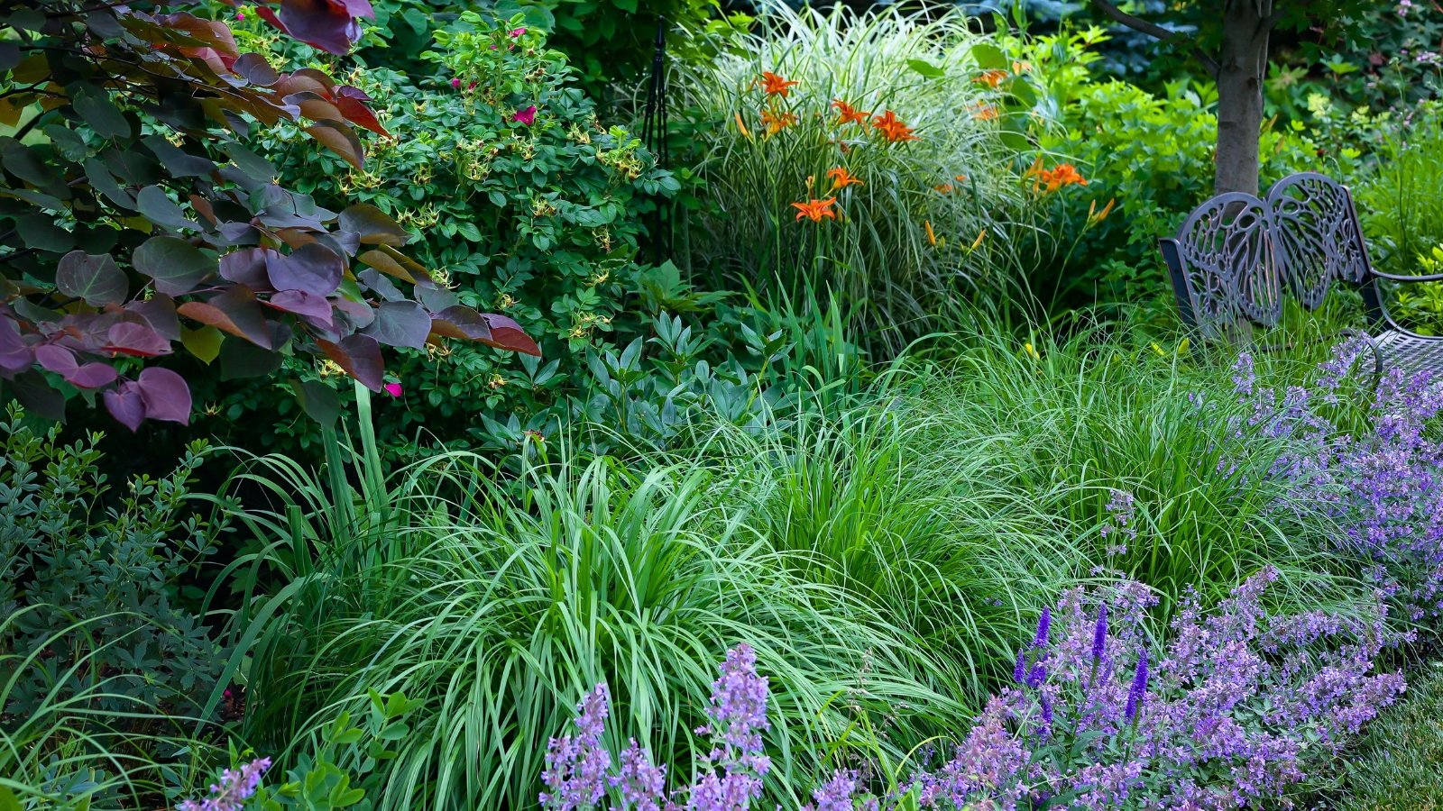 Densely layered foliage showcases deep purple leaves, bright green grass-like blades, and a cascading border of small, velvety purple flower spikes.
