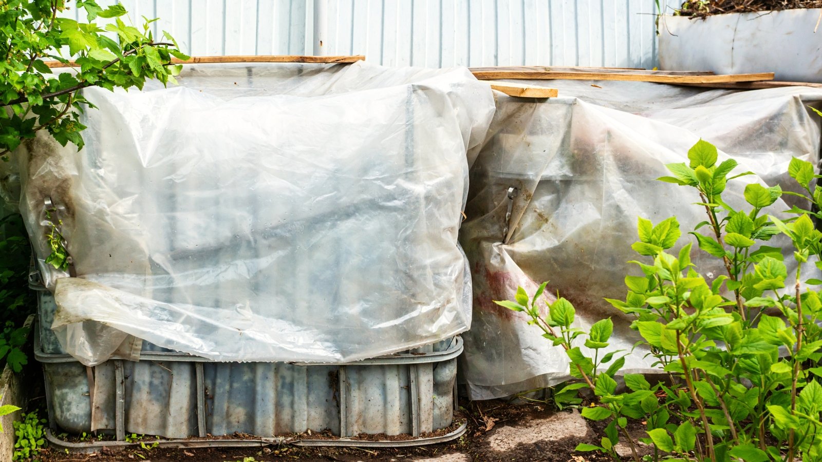 Two large compost bins are wrapped with translucent plastic sheets that shield the organic matter inside from rain and wind in the garden.