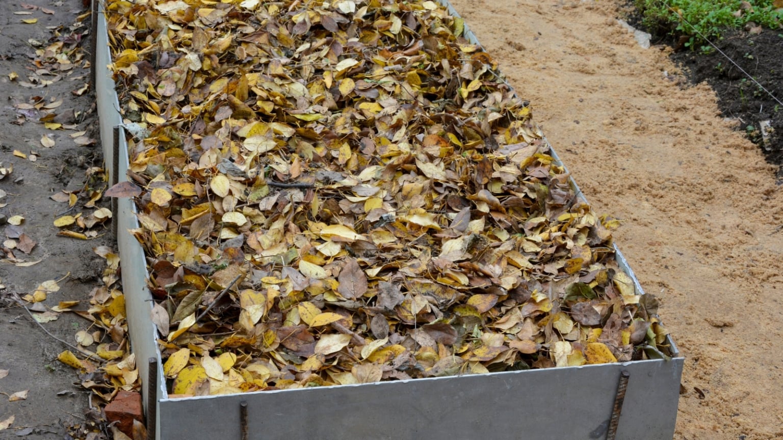 How to Winterize Your Garden in One Weekend (Even If You're a Beginner)
