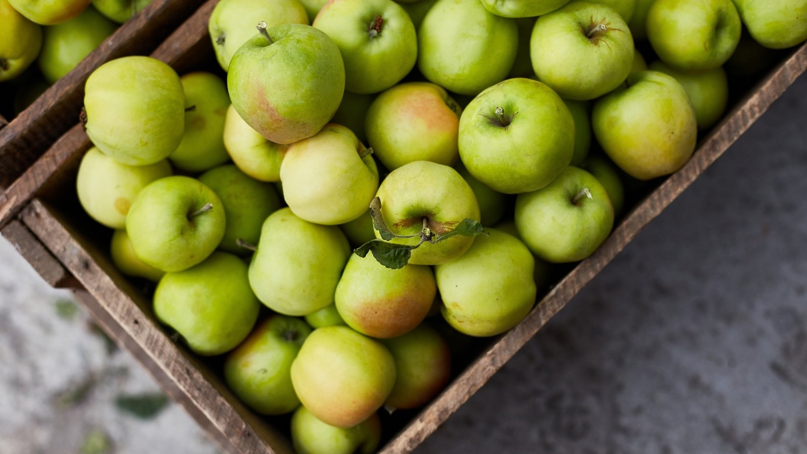 Fresh green apples piled neatly in rustic wooden boxes.