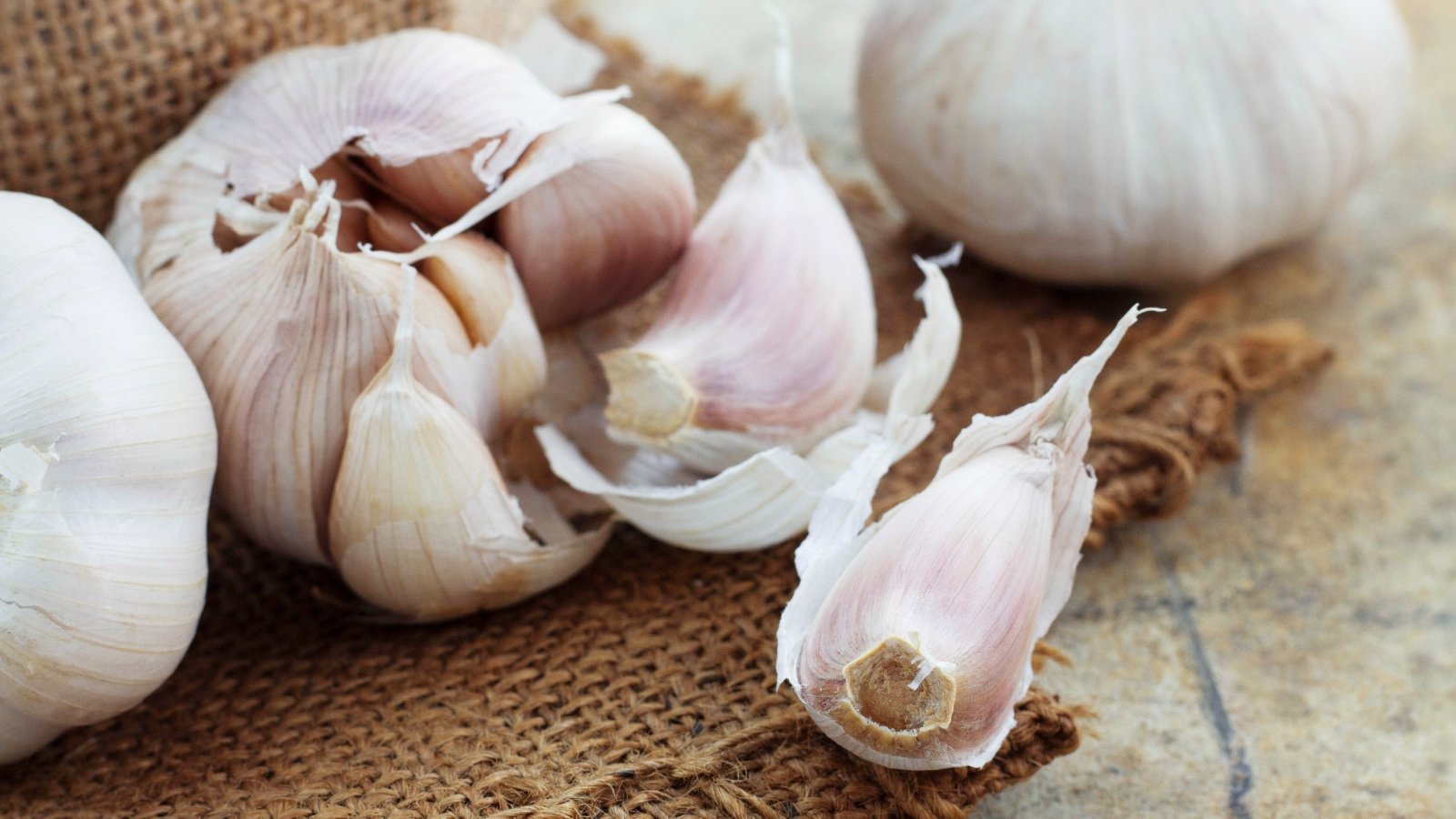 Plump cloves of softneck garlic peek through the thin, blush-colored skins of the surrounding bulbs lying on burlap.