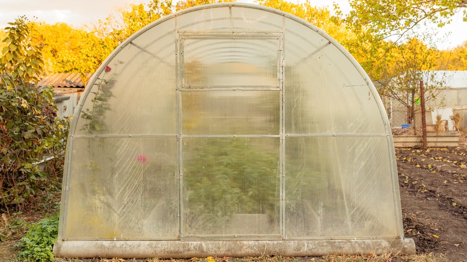 A glass garden structure stands in an autumn garden, surrounded by trees with yellowing leaves and fallen foliage.